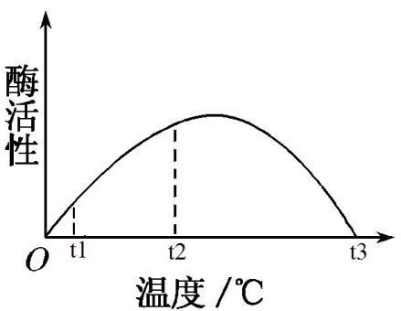 温度对酶活性的影响