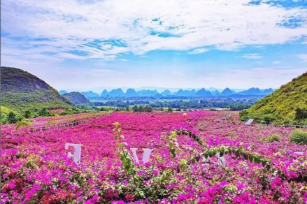 桂林花海 