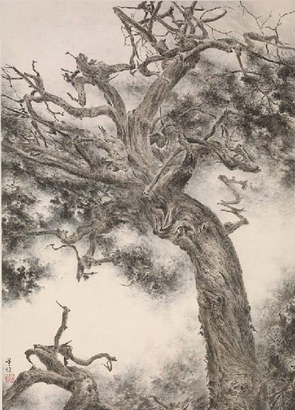 植物的机体循环