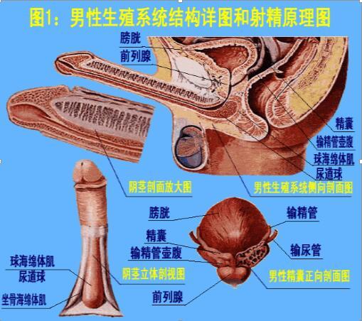 图示