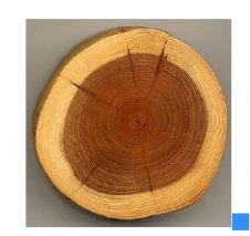 典型的正交各向异性材料