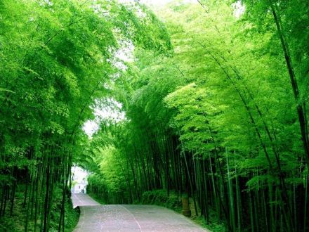 悠悠