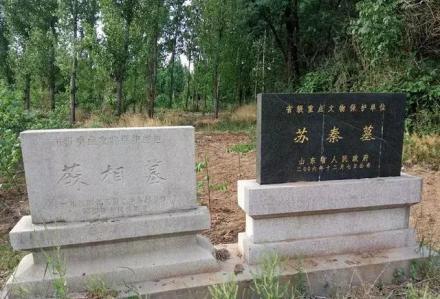 山东临淄苏秦墓