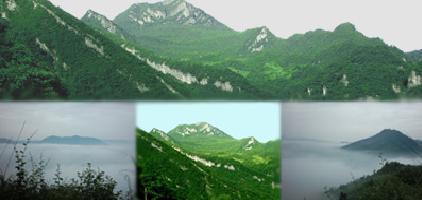 壶瓶山 瓶峰云海