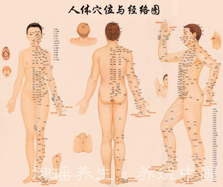 人体穴位图