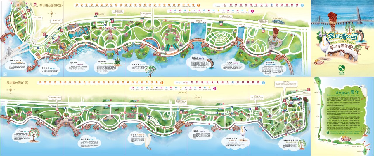 深圳湾公园旅游指南