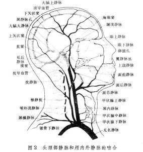 神经系统体征