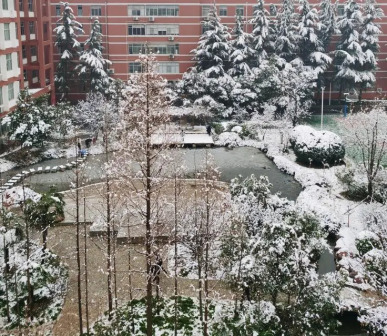 雪景