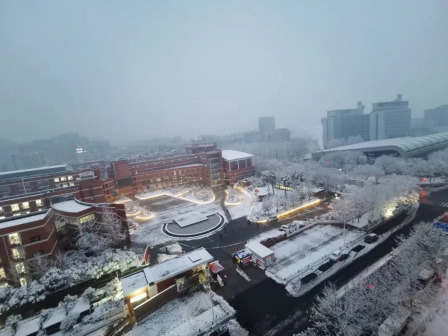 雪景