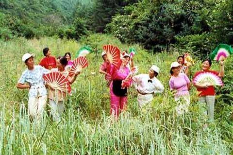 老爷山花儿会