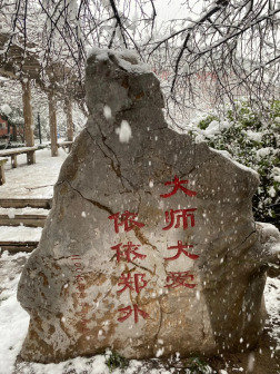 雪景