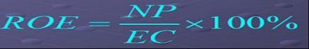 项目资本金净利润率（ROE）