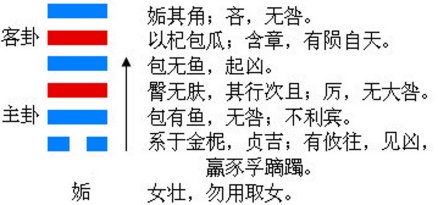 姤卦的结构和卦爻辞