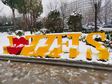 雪景