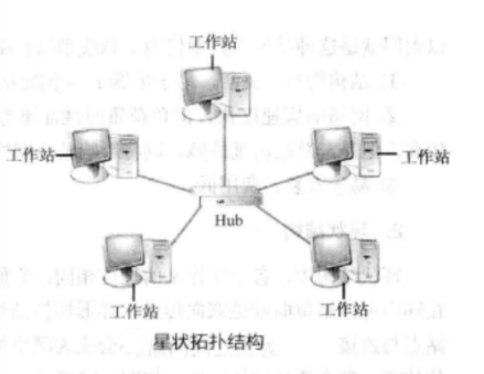 图3 星状结构