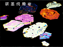 玻基橄榄岩