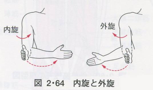 内旋