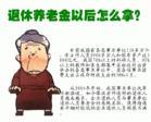 养老金制度之弊