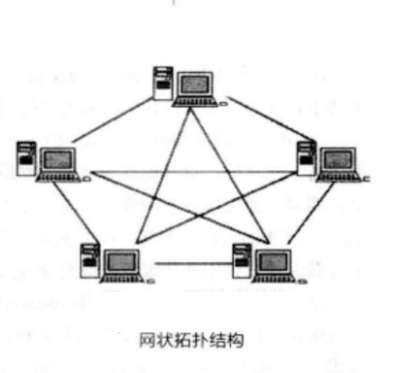 图5 网状结构