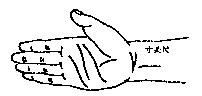 寸关尺