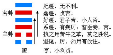 图1 遯卦的结构和卦爻辞