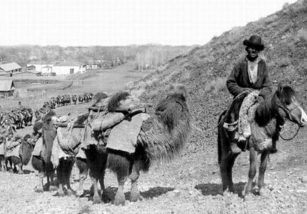 1900年，骆驼商队在七河山脉的一处山口