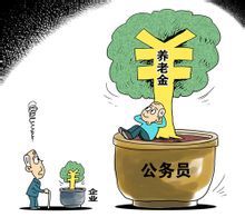 养老金