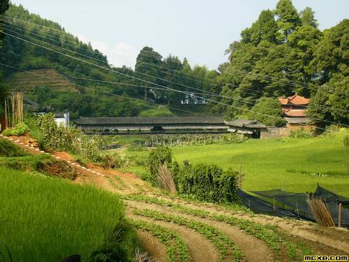 茫荡山