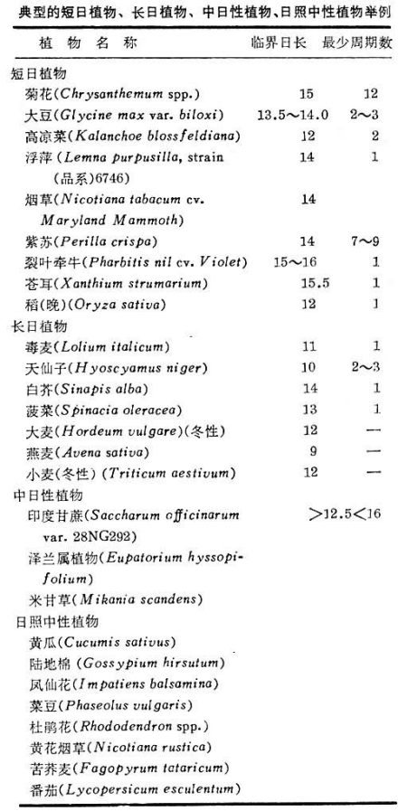 4种类型