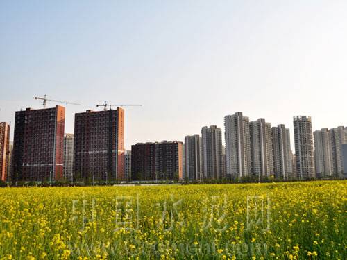 城镇化建设 城镇化建设