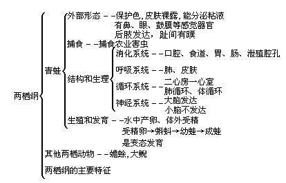 两栖动物分类表