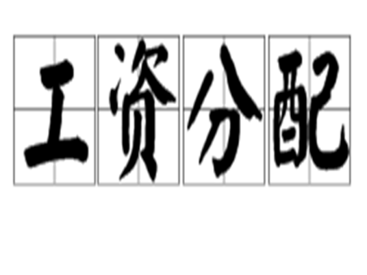 工资分配 工资分配