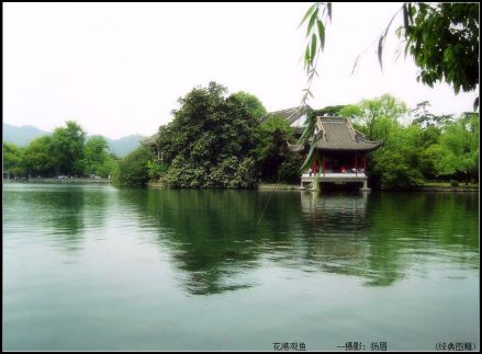 花港观鱼