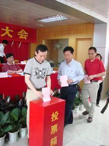 被选举权——选民投票