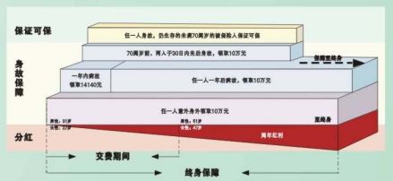 分红型保险