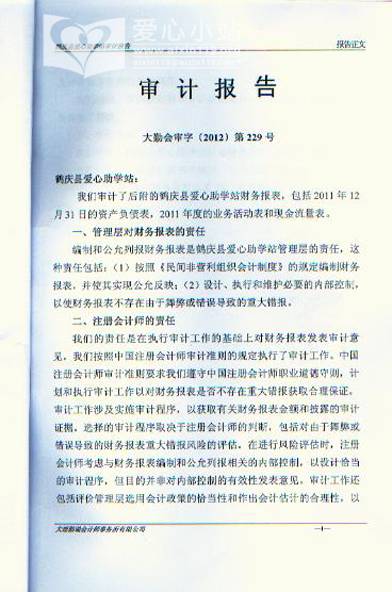 财务审计报告 财务审计报告