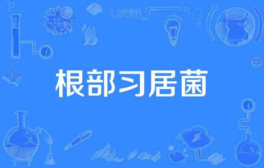 根部习居菌
