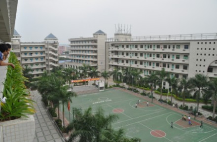 总校