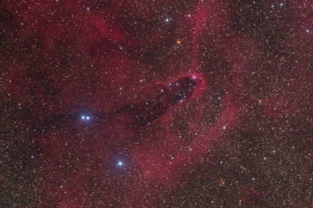 星协