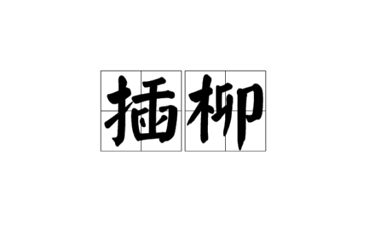 插柳