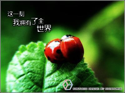 综合类证券公司