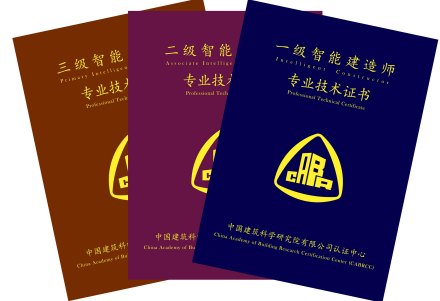 智能建造师专业技术证书样本