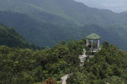 田头山