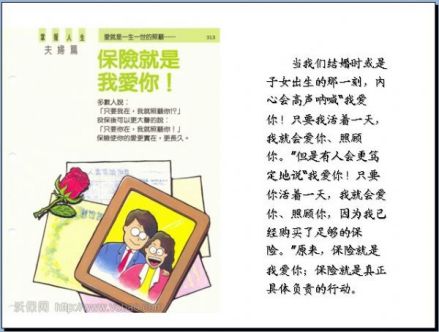 图说保险