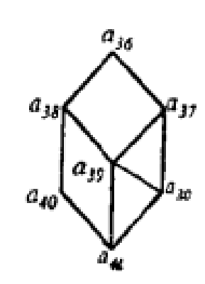 图6（l）