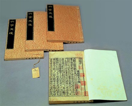 六家文选 