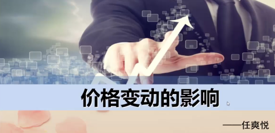 价格变动的影响 价格变动的影响