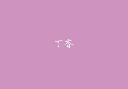 丁香