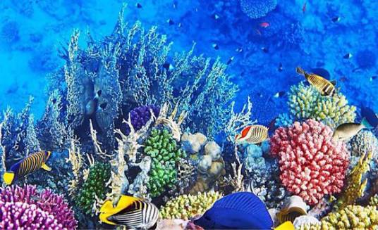 海洋生物技术