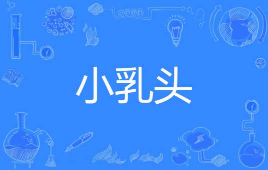 小乳头
